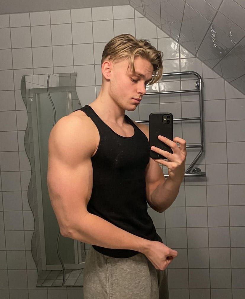Profil von Reinald